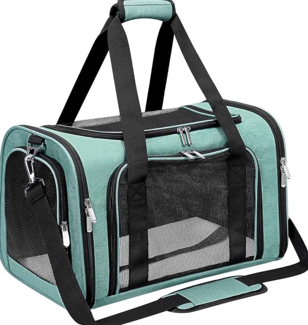 Expandable Pet Carrier Travel Bag with Mesh Windows, Medium